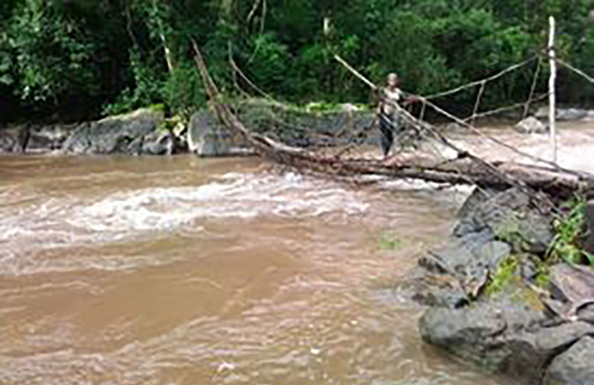 river and stick bridge